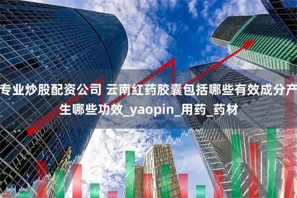 专业炒股配资公司 云南红药胶囊包括哪些有效成分产生哪些功效_yaopin_用药_药材