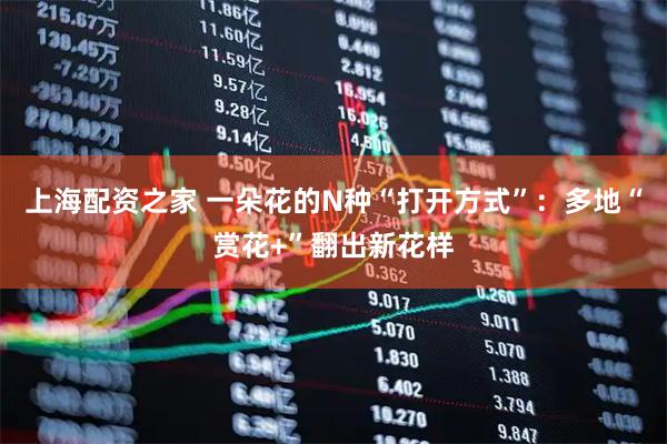 上海配资之家 一朵花的N种“打开方式”：多地“赏花+”翻出新花样